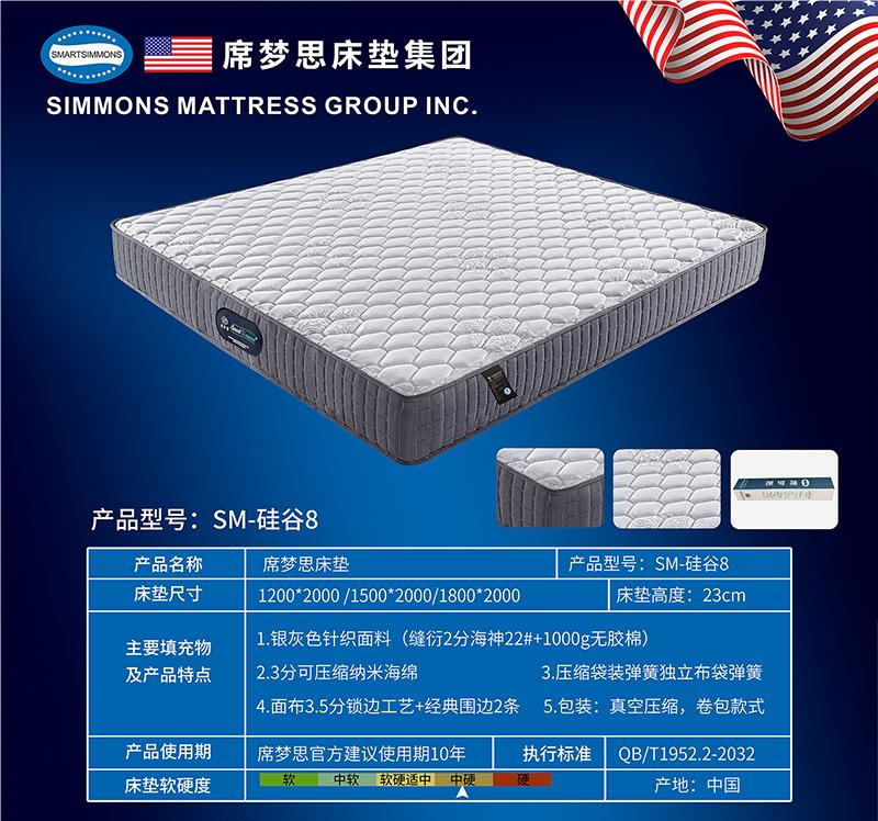 43SM-硅谷8 - 副本.jpg